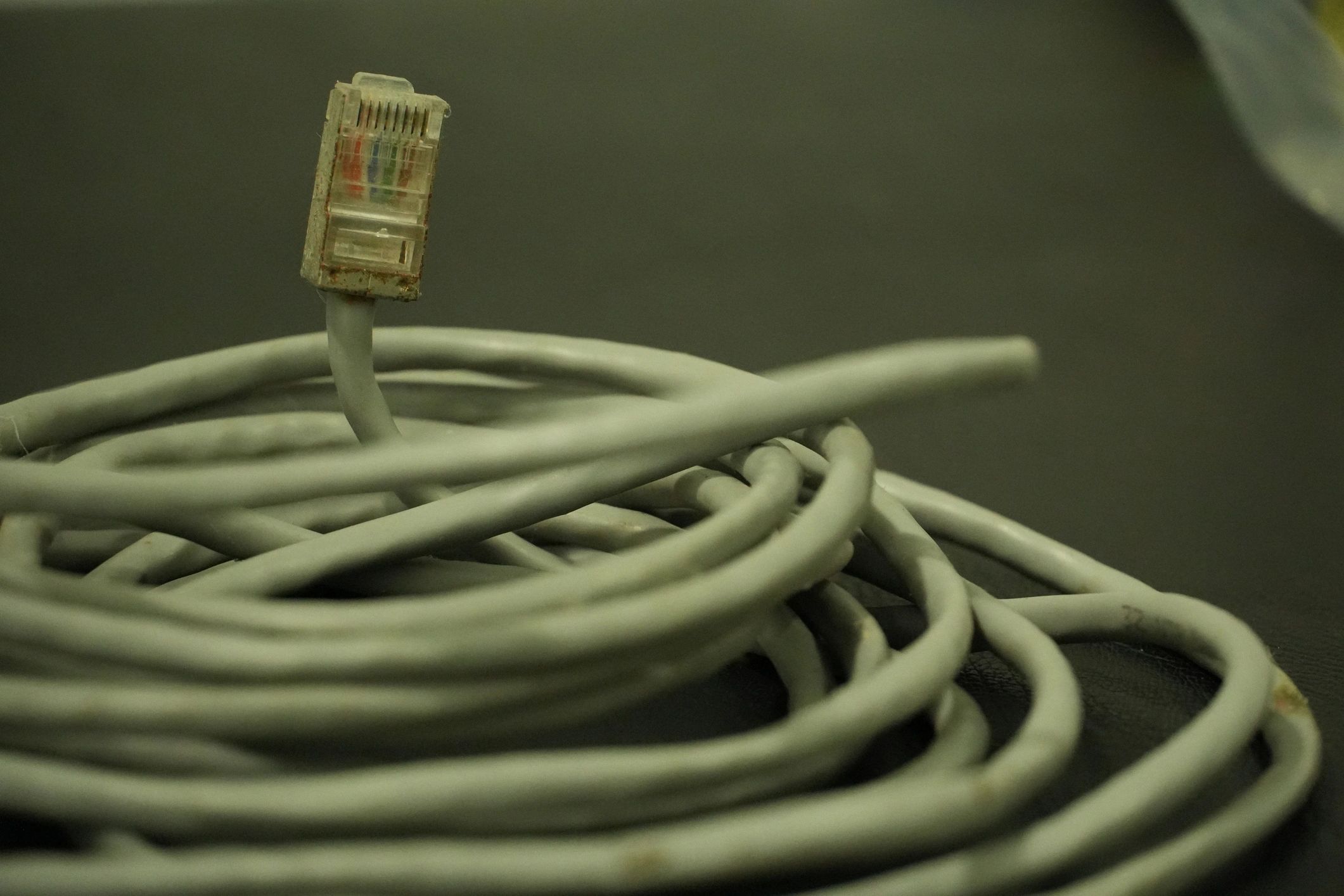 Ethernet cable representing network connectivity